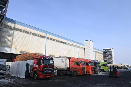 新疆海鴻國際食品物流港匯通智冷4萬噸倉庫試運行，打造國際冷鏈物流新樞紐